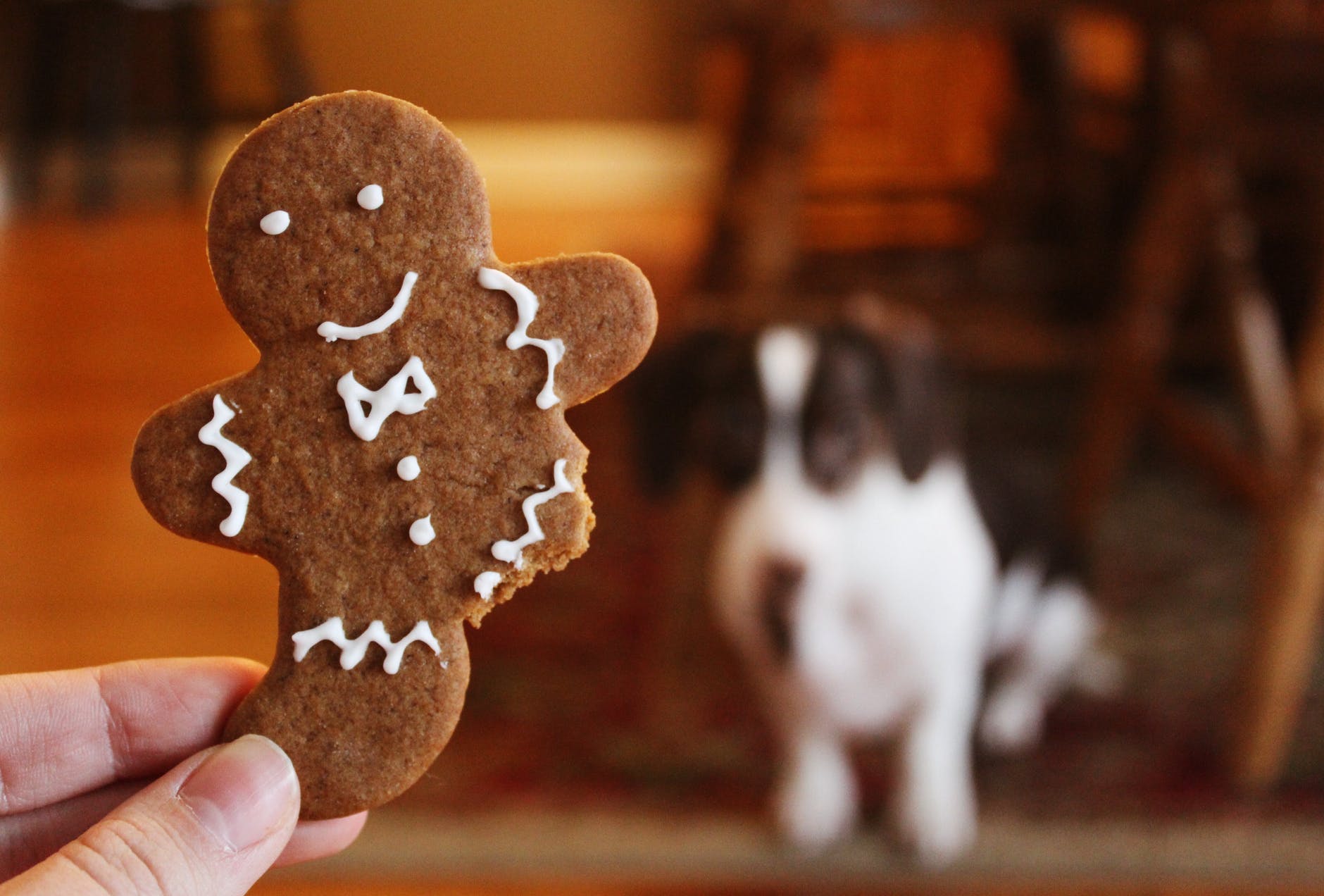 close up photography of gingerbread